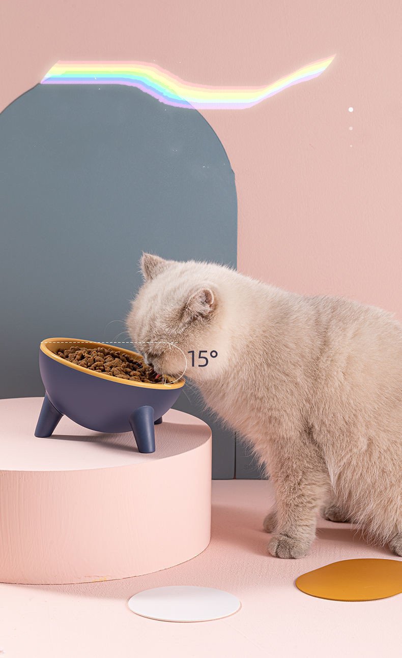 Tilted Pet Bowl With Stand – Nordic Color Feeder, PET Material - Image 7