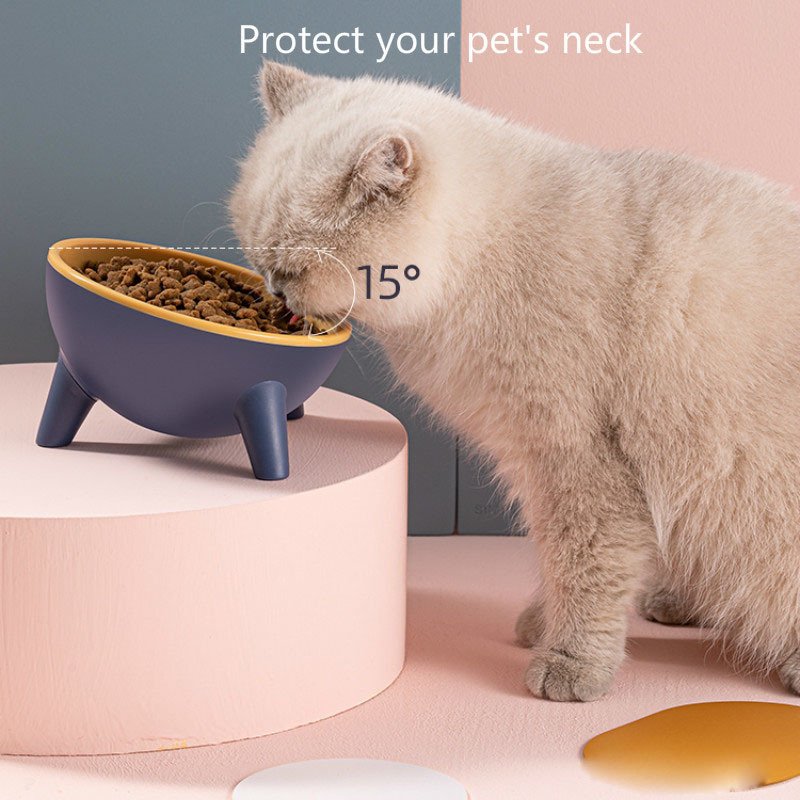 Tilted Pet Bowl With Stand – Nordic Color Feeder, PET Material - Image 6