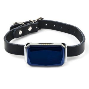 GPS Tracker Device with SOS Button and Geofencing Alerts