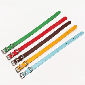 Alternative view of PU Dog Collar – S/M Sizes