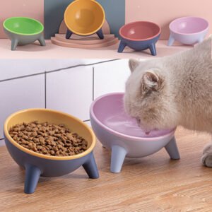 Tilted Pet Bowl With Stand – Nordic Color Feeder, PET Material
