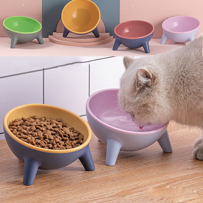Tilted Pet Bowl With Stand – Nordic Color Feeder, PET Material