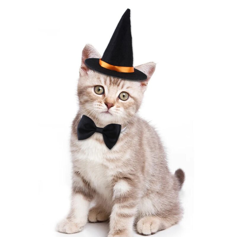 Halloween Pet Wizard Costume – Hat & Bow Tie Set
