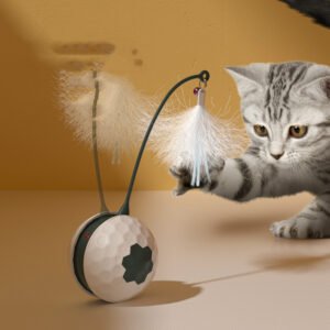 Electric Bite Resistant Cat Toy with Feather Accessory, USB Rechargeable