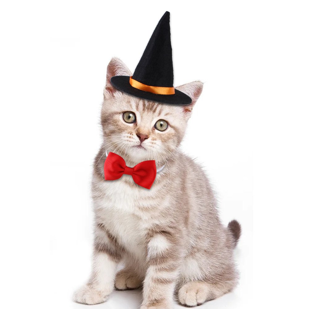 Halloween Pet Wizard Costume – Hat & Bow Tie Set - Image 5